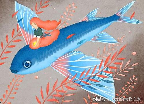 娱乐圈爆料贴会飞的鱼,会飞的鱼背后的惊人真相  第2张